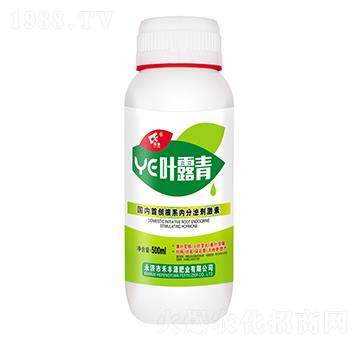 葉露青-禾豐源肥業(yè)