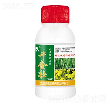 小麥油菜專用千金壯-禾豐源肥業(yè)