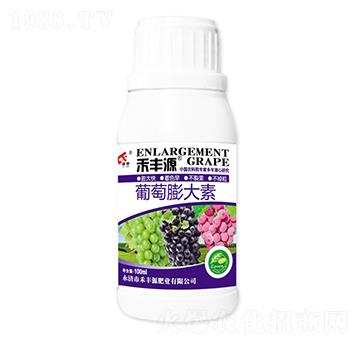 葡萄膨大素-禾豐源肥業(yè)