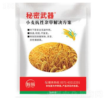 小麥抗性雜草解決方案-秘密武器-瀚獅農(nóng)業(yè)