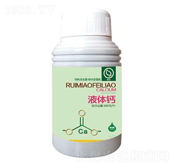 Һ�w�}-����