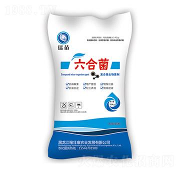 ���Ͼ�-����