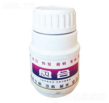 ��(x��)���ޏ�(f��)��-����-����