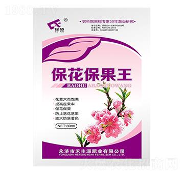 ����������-���SԴ�ʘI(y��)