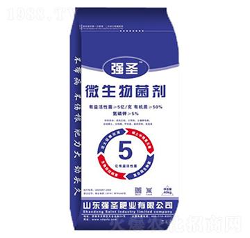 5�|΢�������-��(qi��ng)ʥ