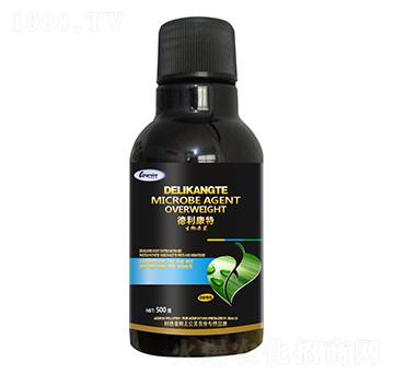 �׷ی�(zhu��n)�������-��������-������ķ