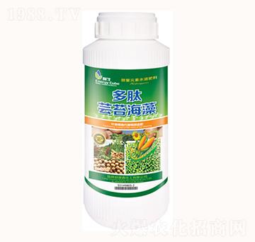 �����|̦����-���λ���