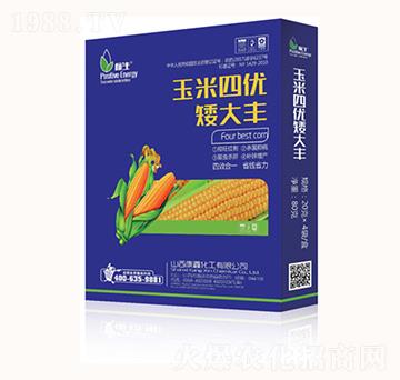 玉米四優(yōu)矮大豐-康鑫化工
