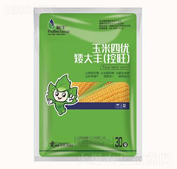 玉米四優(yōu)-矮大豐（控旺）-康鑫化工