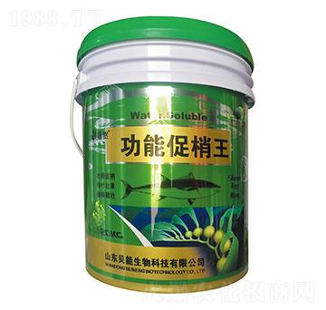 ���ܴ�����-ؐ������