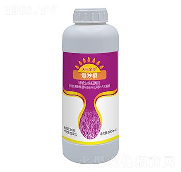 1000ml爆發(fā)根-天河金水-天宸夢