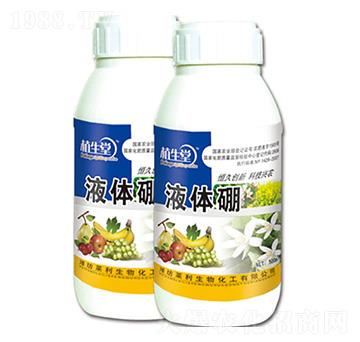 ���w�� ֲ���� �R������