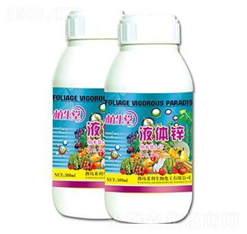 ���w�\ ֲ���� �R������