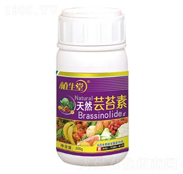 天然蕓苔素 植生堂 萊利生物