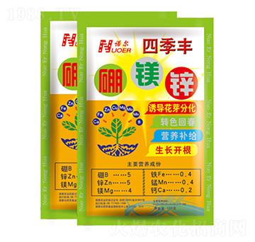 ���V�\ ֲ���� �R������