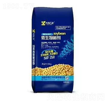 40kg΢������� �Ј�R��(r��n)