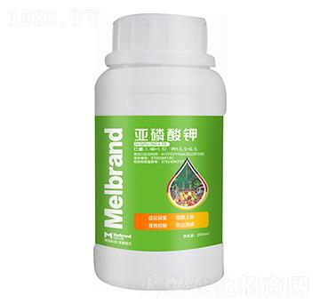 200mlֲ�����߄� ������� ������