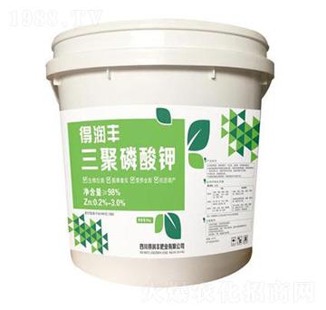 ��������� �Ý��S