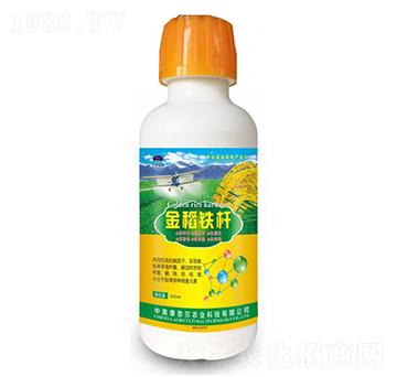 金稻鐵桿-美爾豐-康奈爾