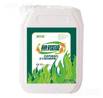 魚得藻 海絲藍(lán)