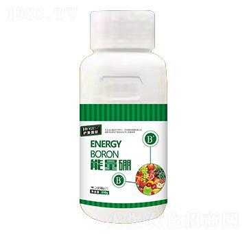 ������-�o��