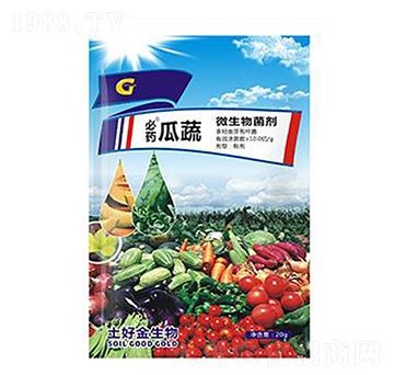 20g���� ���ý�