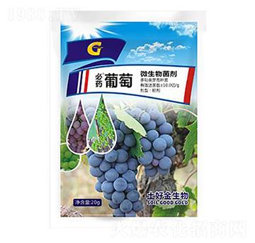 20g���� ���ý�