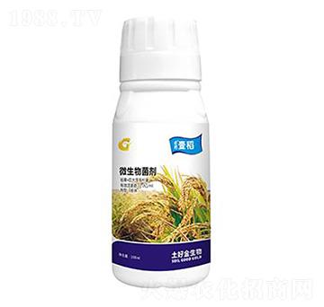 100mlҼ�� ���ý�