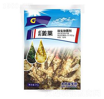 20g���R ���ý�