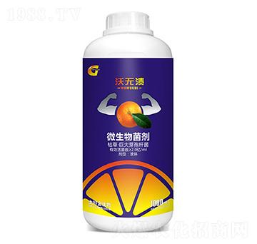 ΢������� �֟o(w��)�� ���ý�