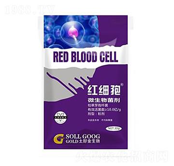 30g΢������� �t��(x��)�� ���ý�