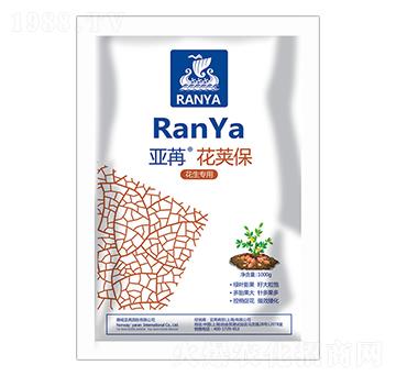 �������� ���ۻ��v�� ���ۇ��H