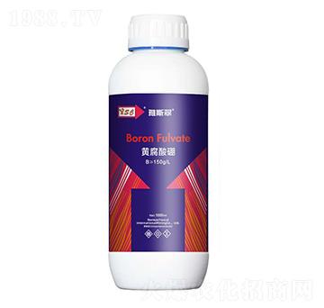 �S������-��˹��