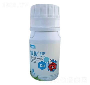 �y���}-��΢����