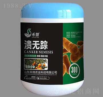 �����������΄�-���o(w��)ۙ-��΢