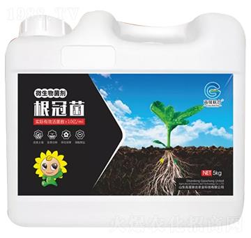 ΢������� ���ھ� ����