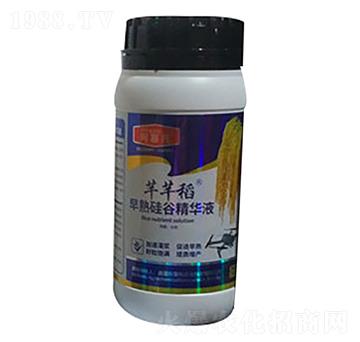 含氨基酸水溶肥 芊芊稻 隆利源生物