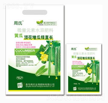 黃瓜頂花增瓜綠直長-周氏農(nóng)化