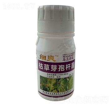 瓶裝枯草芽孢桿菌-細爽-馬克邦迪