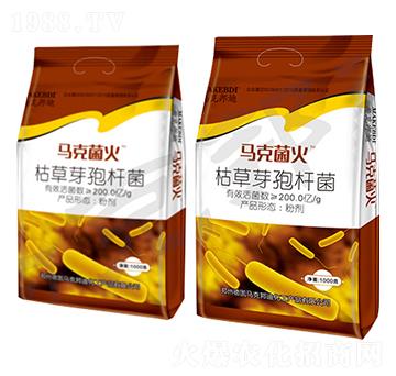 枯草芽孢桿菌-馬克菌火-馬克邦迪