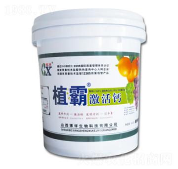 ֲ�Լ����}-��������