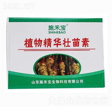 ֲ�ﾫ�A�����أ��䣩-ʩ�̌�