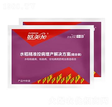 水稻控病增產(chǎn)方案 歐美加 中盈