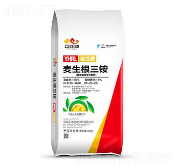 �������@��20-20-20 ���������@ �ƻ�����