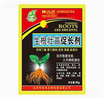 ����������L��-�A������