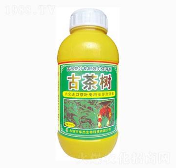 �Ų��-�A������