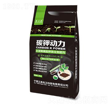 ̼⛄��� ���W����