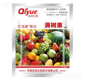 滿樹果（袋） 巧特