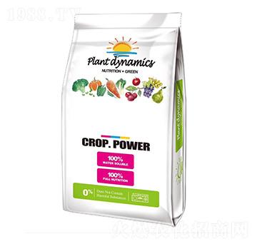 美國大又紅-大華墾