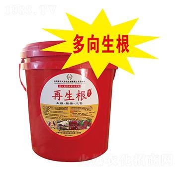 出口蔬菜水果專用肥-再生根-大華墾